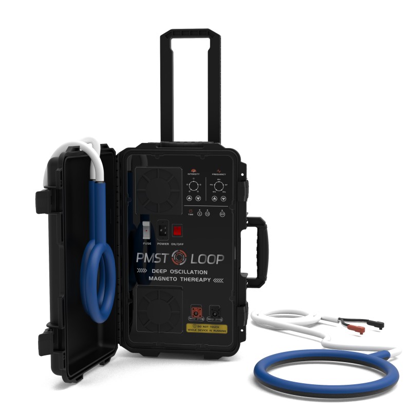 PMST LOOP PEMF Therapy Horse E - огляд і ціна Therapy Health And Wellness