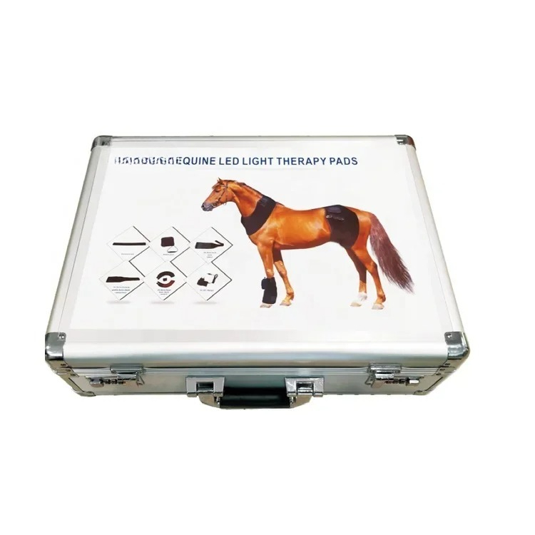 LED Lamp Therapy Machine for H - огляд і ціна Therapy Health And Wellness