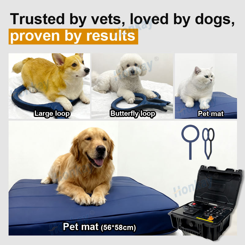 Personal Pet Care PEMF Device  - огляд і ціна Therapy Health And Wellness