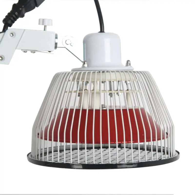 Traditional Chinese TDP Lamps  - огляд і ціна Therapy Health And Wellness