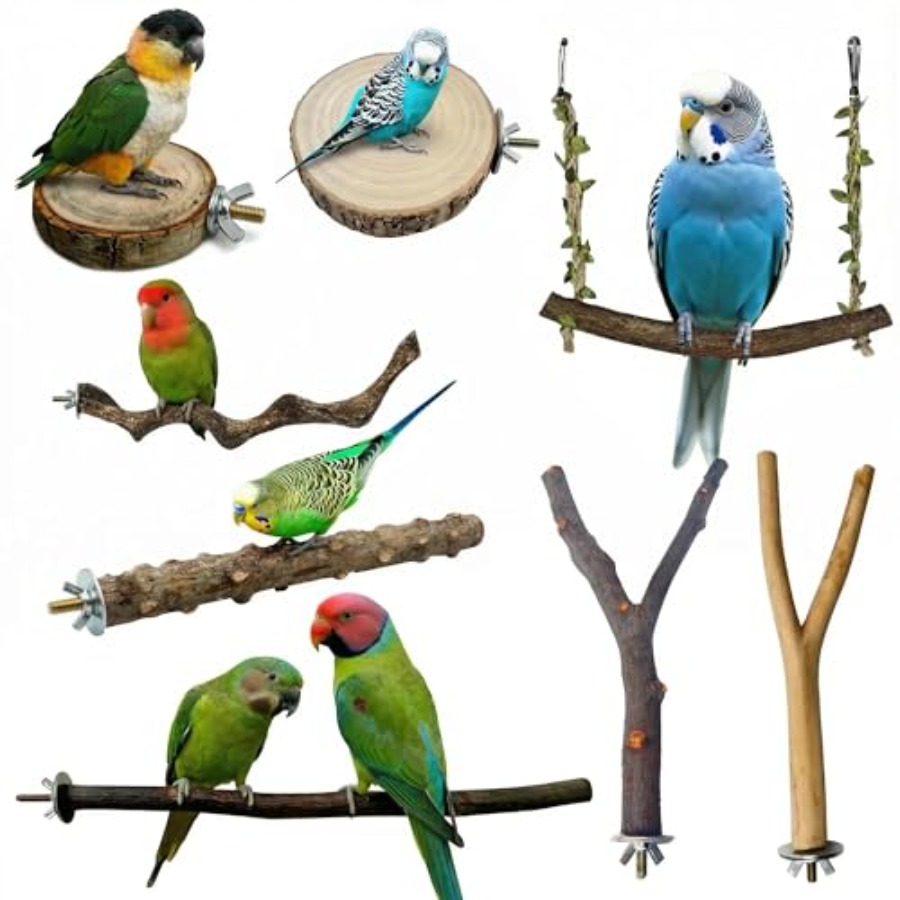 8PCS natural wood bird perches - огляд і ціна Health & Wellness U Of T