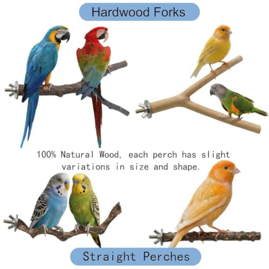 8PCS natural wood bird perches - огляд і ціна Health & Wellness U Of T