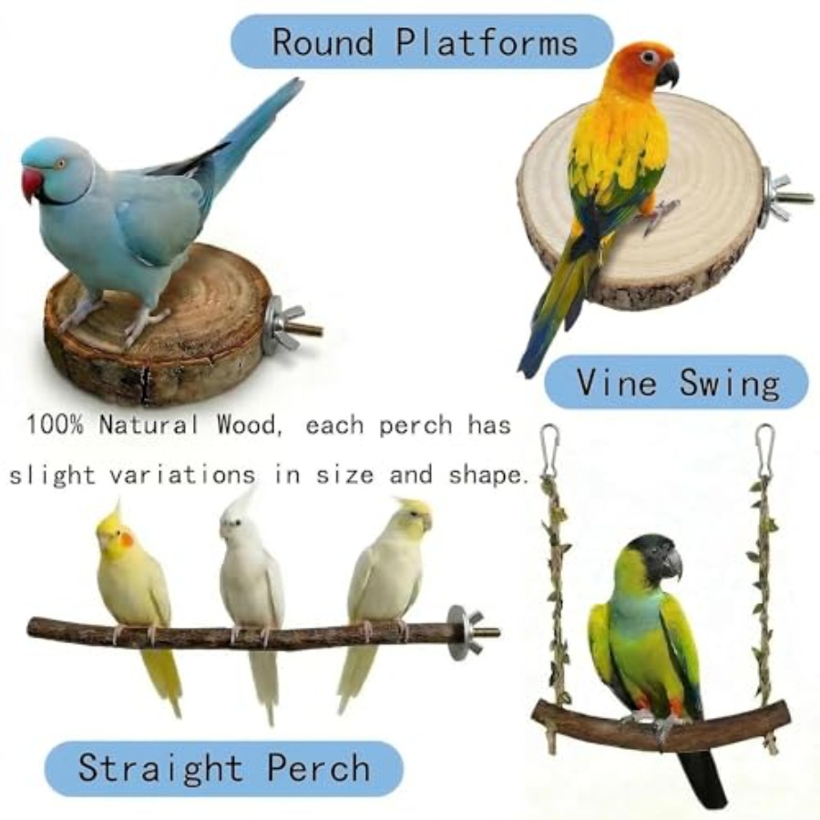 8PCS natural wood bird perches - огляд і ціна Health & Wellness U Of T